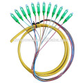 Sc 12 Core Fanout Fiber Optic Pigtails, Sm Simplex 12 Core Optical Fibre Pigtail mit günstigen Preis